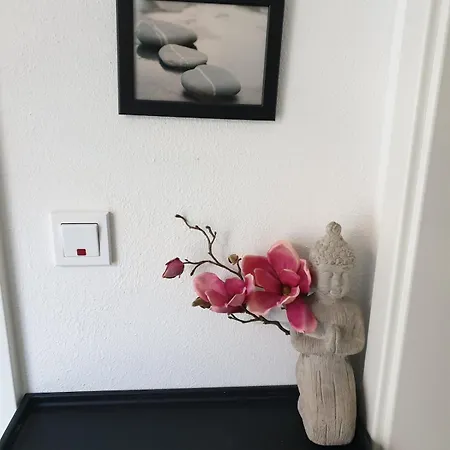 Black Orange 公寓 沃尔夫沙恩